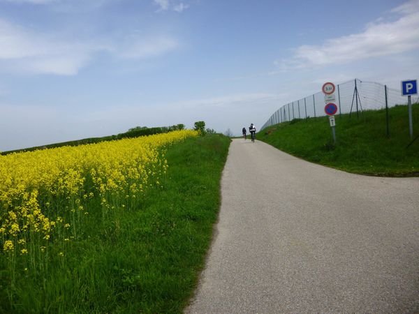 P1040726-copie-1.jpg
