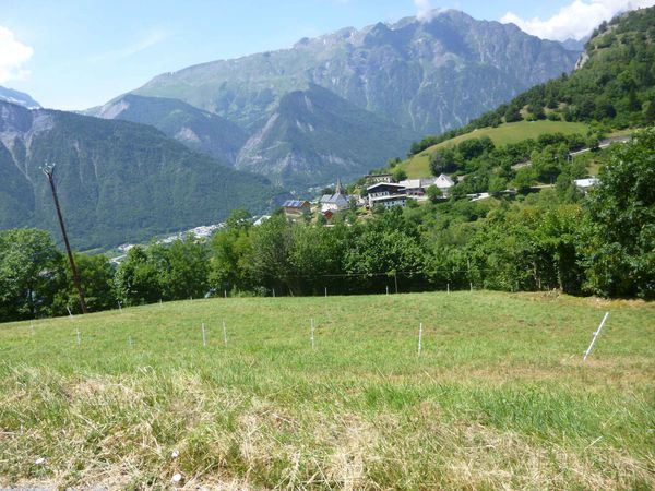 P1080235-copie-1.jpg
