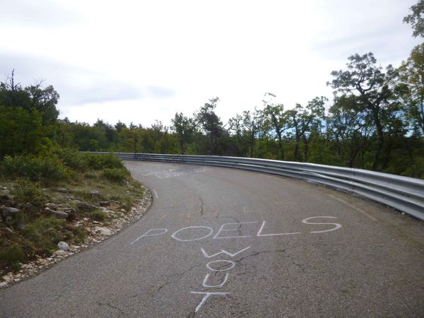P1110025.jpg