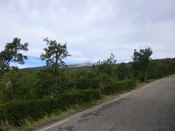 P1110027-copie-1.jpg