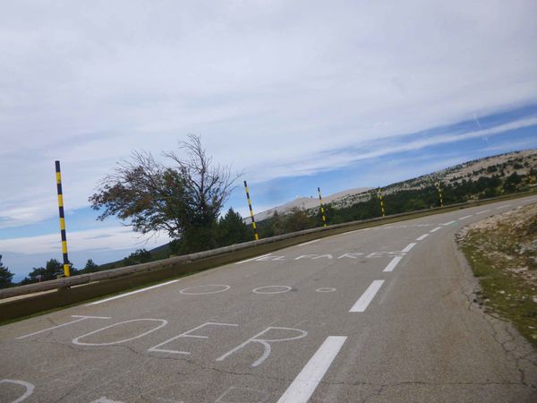 P1110057.jpg