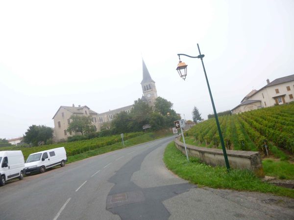 P1120008.jpg