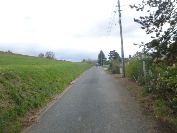 P1130001.jpg