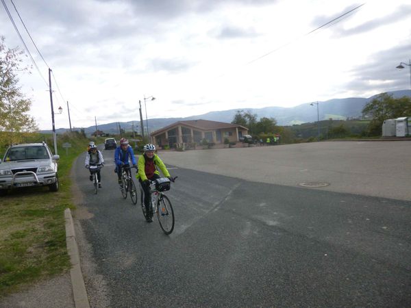 P1130031.jpg