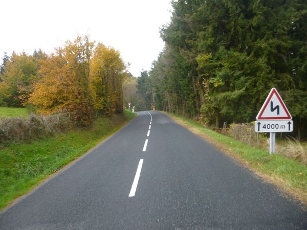 P1130085.jpg