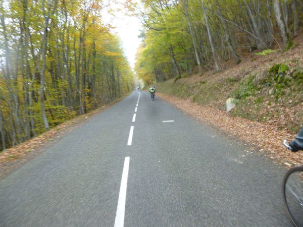 P1130165.jpg