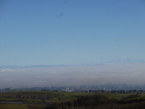 P1010201.JPG