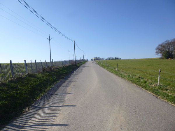 P1020687.jpg