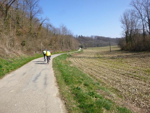 P1020710-copie-1.jpg