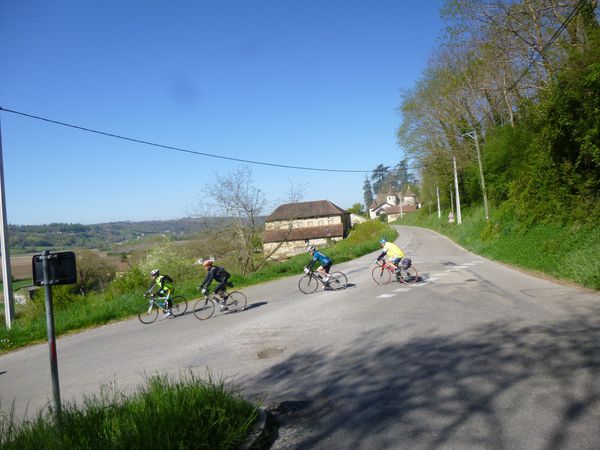 P1030829.JPG