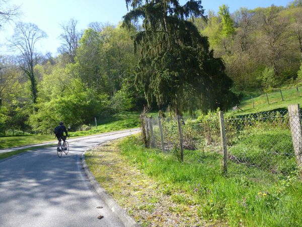 P1030845.jpg