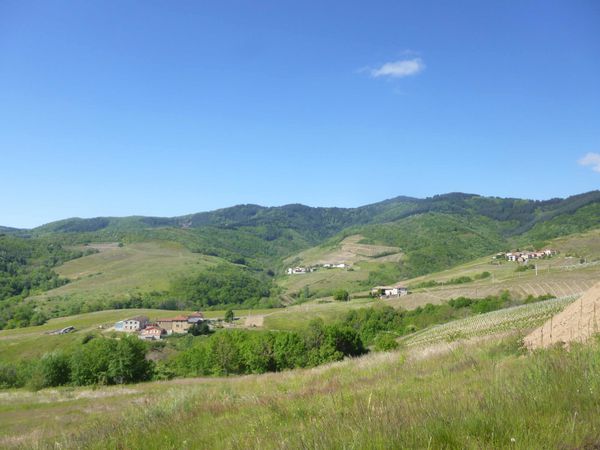 P1050135.jpg