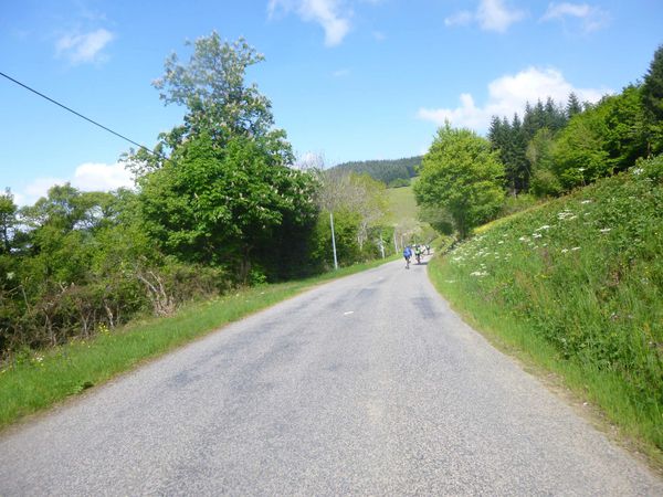 P1050175.jpg