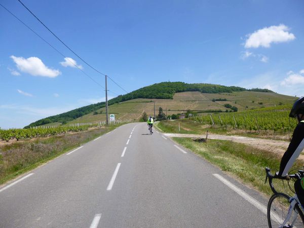 P1050215.jpg