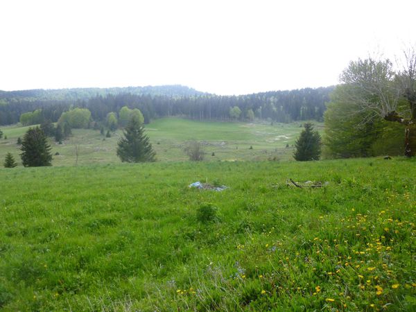 P1050092.jpg