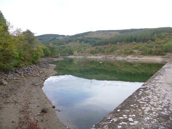 P1120204.jpg