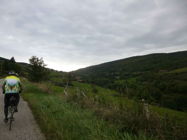 P1120234.jpg