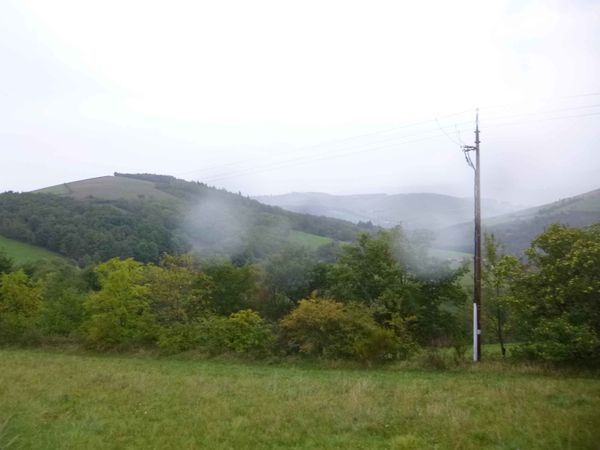 P1120244.jpg