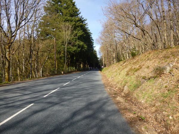 P1020962.jpg