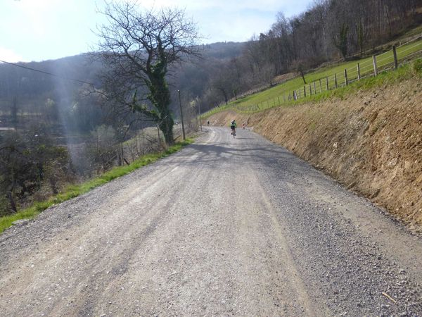 P1020990.jpg