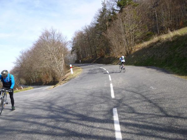 P1030009.jpg