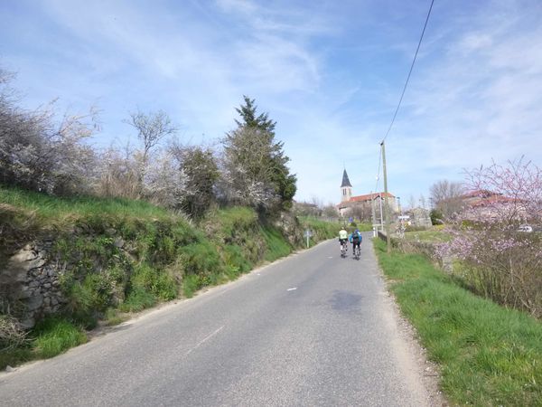 P1030049.jpg