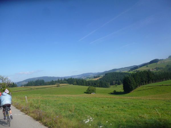 P1100083.jpg