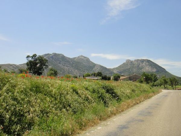 DSC01587 Les Alpilles