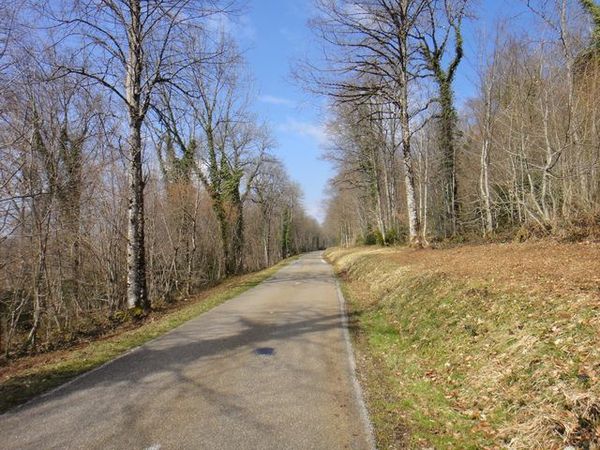 DSC04326 Route de Mirebel