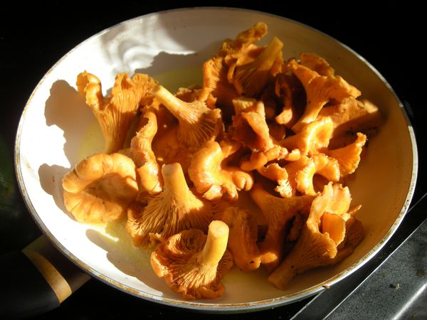Croustade aux girolles (24)