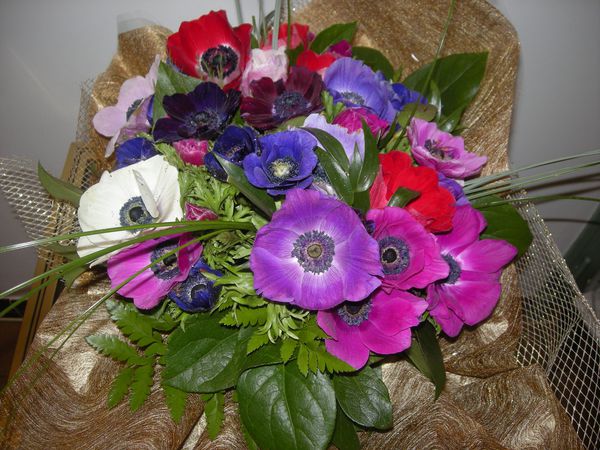 Bouquet-de-Dany---3-.JPG