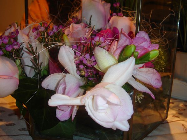montage-floral-serre--3-.jpg