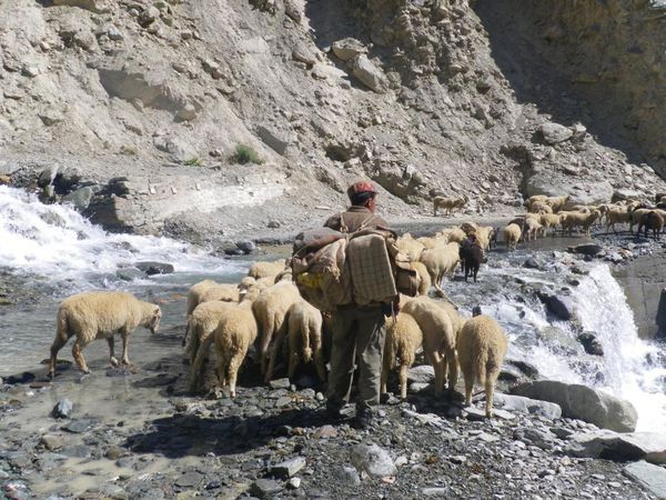00286---INDE---ROUTE--9a-.JPG