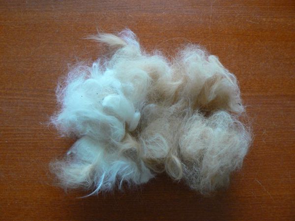 2012-03-01-Poils2