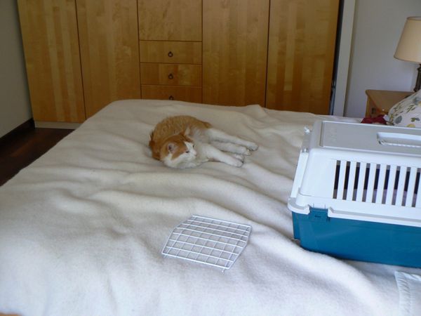 2011-7-8-Départ2