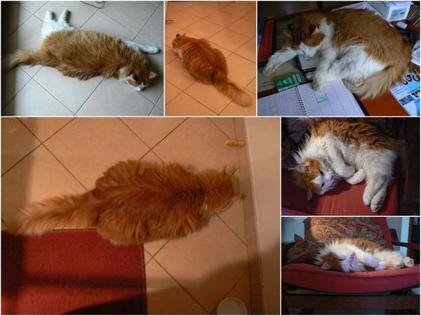 2011-Retour