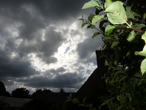 Images de printemps, d'automne étonnantes 099