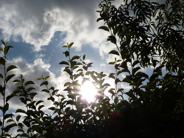 Images de printemps, d'automne étonnantes 100
