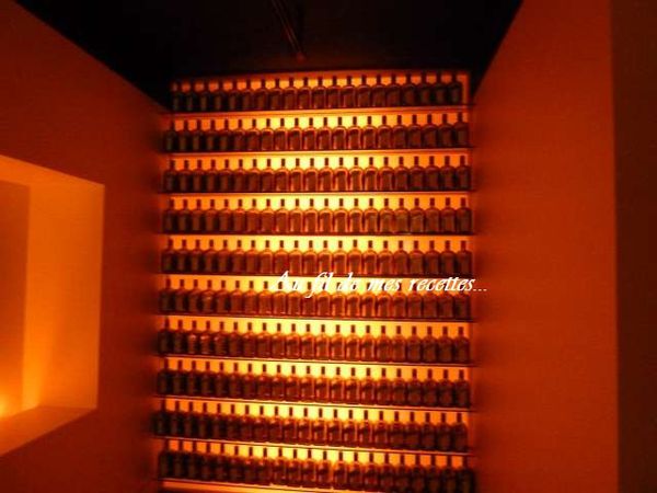 Angers-2011--2-.jpg