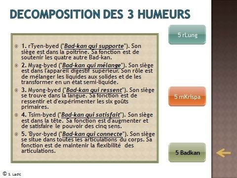 decomposition-des-trois-humeurs4