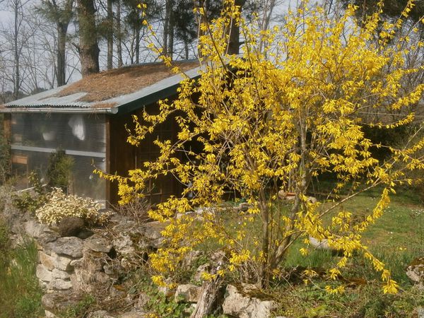 tour jardin 2 avril 2013 020