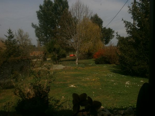 tour jardin 2 avril 2013 112