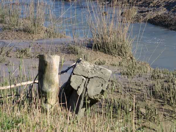 port-de-vitrezay-le-8-03-2014-004.JPG