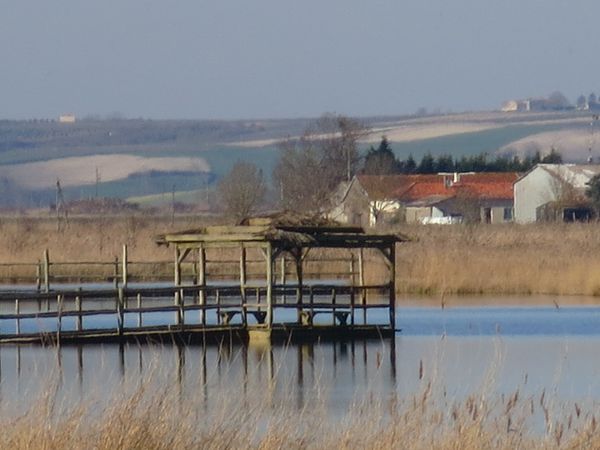 port-de-vitrezay-le-8-03-2014-036.JPG