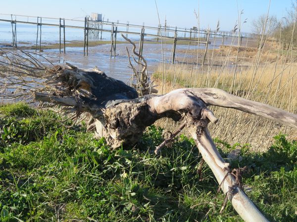 port-de-vitrezay-le-8-03-2014-069.JPG