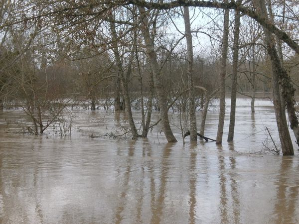 Jonzac--20-01-2013-009.JPG