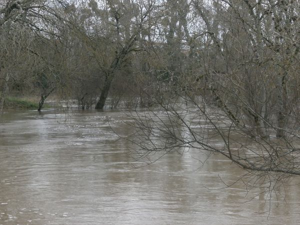 Jonzac--20-01-2013-016.JPG