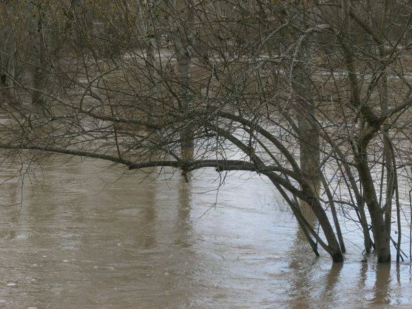 Jonzac--20-01-2013-017.JPG