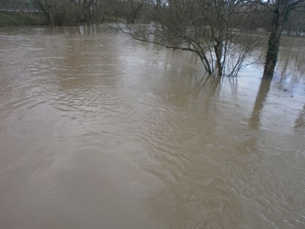 Jonzac--20-01-2013-023.JPG