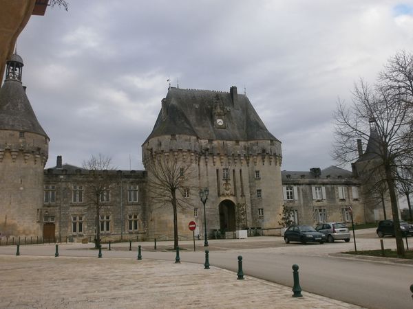 Jonzac--20-01-2013-030-copie-1.JPG